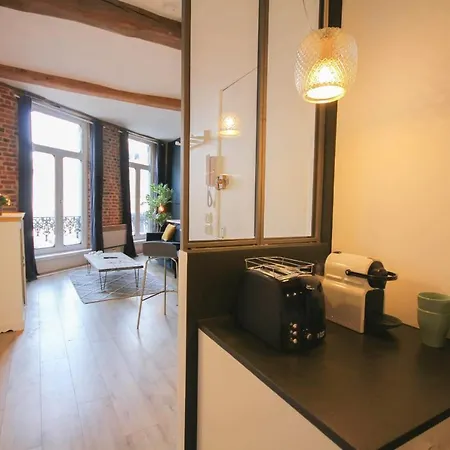 Superb Flat In The Heart Of Old Lille! * リール
